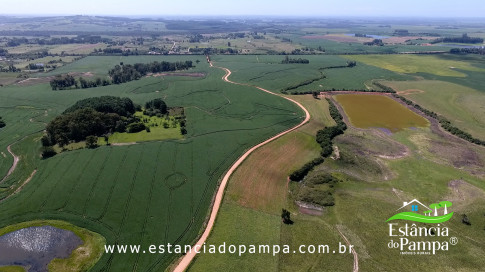 INICIO 3.00_02_09_24.Quadro019_757f573906211d8232ad11eadc0203eeeaeb9c56.jpg